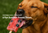 5 Frozen Dog Treats to Keep Your Pup Cool This Summer