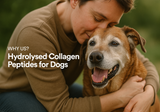 An owner affectionately hugs their happy, healthy senior dog, showcasing the joy and mobility that comes from giving them hydrolysed collagen for dogs.