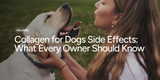 Collagen for Dogs Side Effects: What Every Owner Should Know