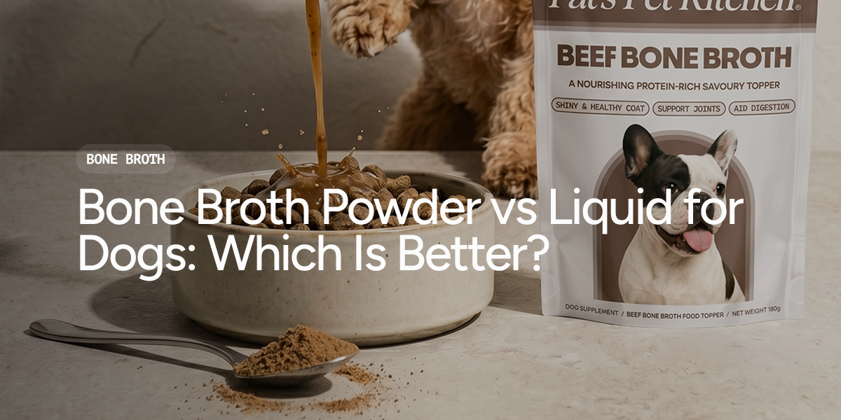 Bone Broth Powder vs Liquid for Dogs | Pat's Pet Kitchen UK Guide