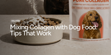 Mixing Collagen with Dog Food: Tips That Work