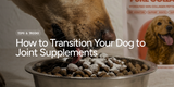 How to Transition Your Dog to Joint Supplements