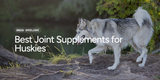 Best Joint Supplements for Huskies