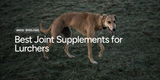 Best Joint Supplements for Lurchers