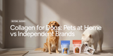 Collagen for Dogs: Pets at Home vs Independent Brands