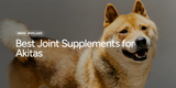 Best Joint Supplements for Akitas