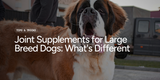 Joint Supplements for Large Breed Dogs: What's Different