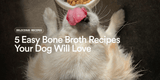 5 Easy Bone Broth Recipes Your Dog Will Love