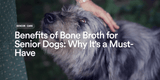 Benefits of Bone Broth for Senior Dogs: Why It's a Must-Have