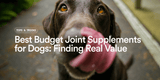 Best Budget Joint Supplements for Dogs UK: Finding Real Value