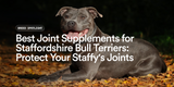 Best Joint Supplements for Staffordshire Bull Terriers: Protect Your Staffy's Joints