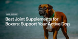 Best Joint Supplements for Boxers: Support Your Active Dog