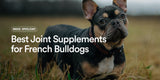 Best Joint Supplements for French Bulldogs: Protect Your Frenchie's Joints