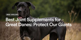 Best Joint Supplements for Great Danes: Protect Our Gentle Giants