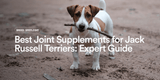 Best Joint Supplements for Jack Russell Terriers: Keep Them Moving