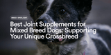 Best Joint Supplements for Mixed Breed Dogs: Supporting Your Unique Crossbreed