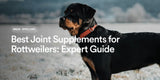 Best Joint Supplements for Rottweilers: Expert Guide