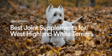 Best Joint Supplements for West Highland White Terriers