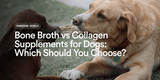 Bone Broth vs Collagen Supplements for Dogs: Which Should You Choose?