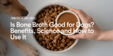 Is Bone Broth Good for Dogs? Benefits, Science and How to Use It