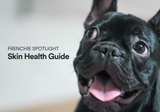French Bulldog Skin Issues: How Collagen Can Soothe & Support Your Frenchie