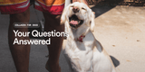 Collagen for dogs questions