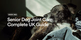 Senior Dog Joint Care: Complete UK Guide