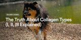 The Truth About Collagen Types (I, II, III Explained)