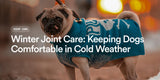 Winter Joint Care: Keeping Dogs Comfortable in Cold Weather