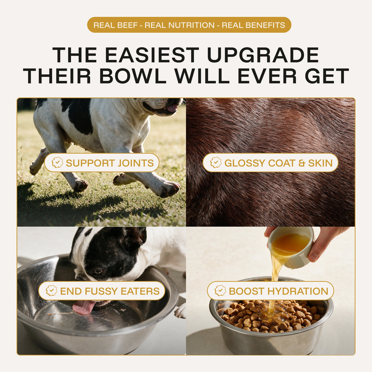 Chicken Broth: Savoury Food Topper