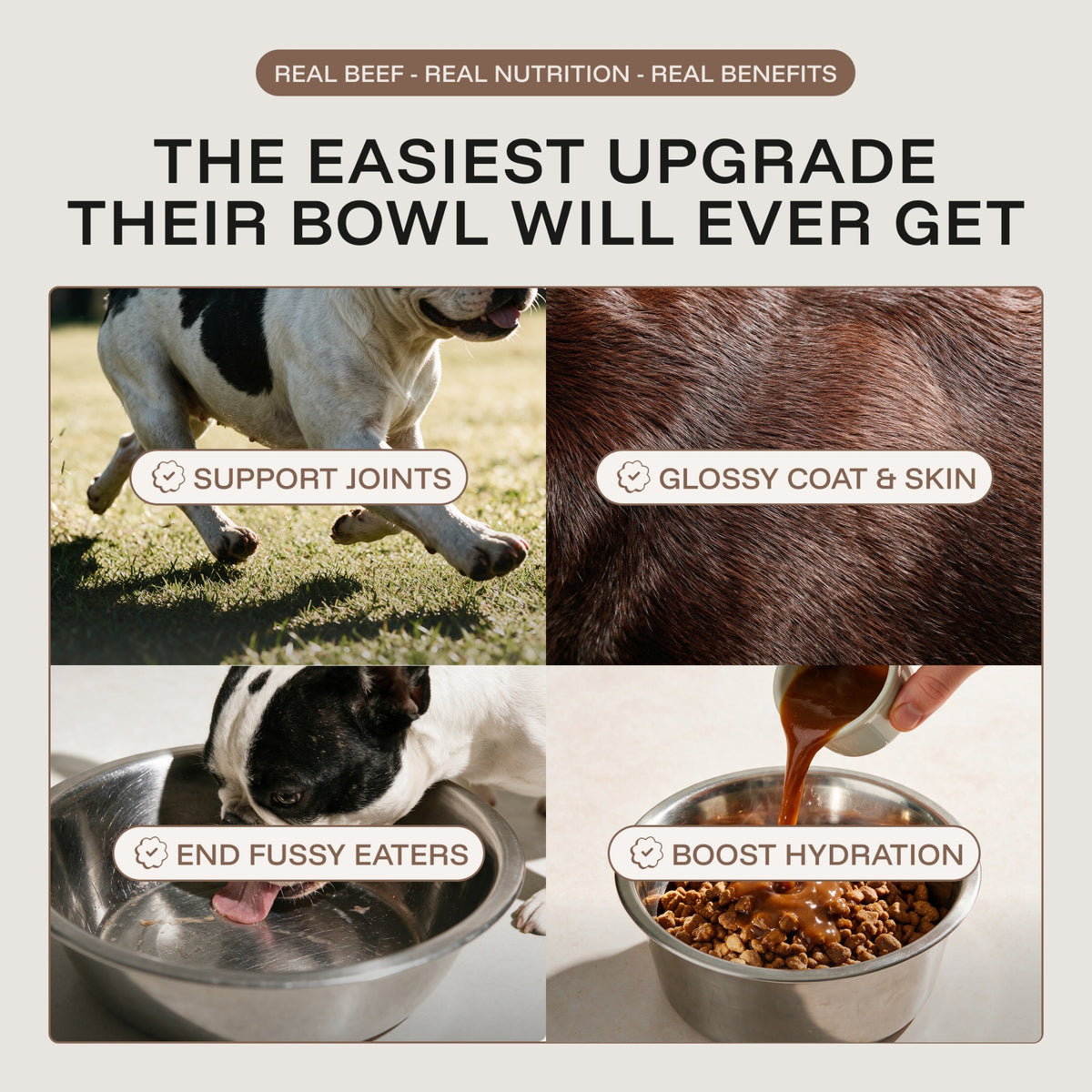 Beef Bone Broth: Savoury Food Topper
