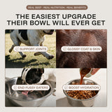 Beef Bone Broth: Savoury Food Topper