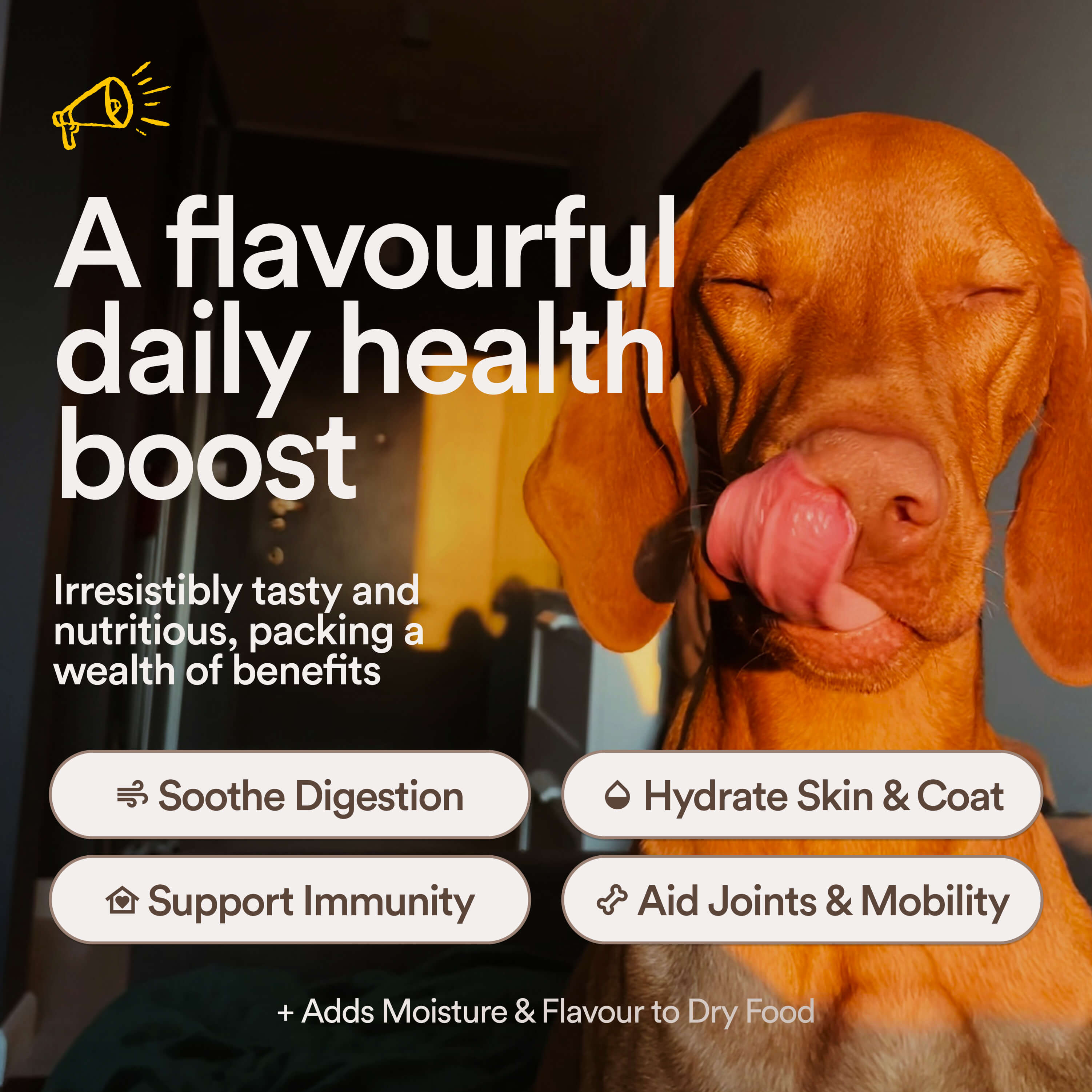 Beef Bone Broth: Savoury Food Topper