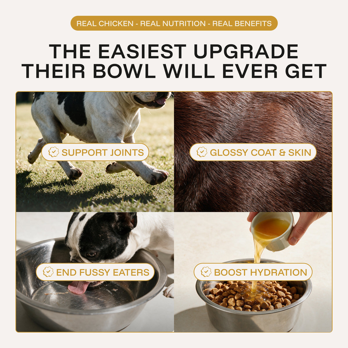 Chicken Broth: Savoury Food Topper
