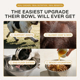 Chicken Broth: Savoury Food Topper