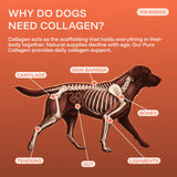 Pure Collagen: 100% Collagen Peptides