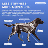 Mobility & Joints: 6-in-1 Advanced Joint Support