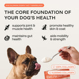 Pure Collagen: 100% Collagen Peptides