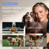 Mobility & Joints: 6-in-1 Advanced Joint Support