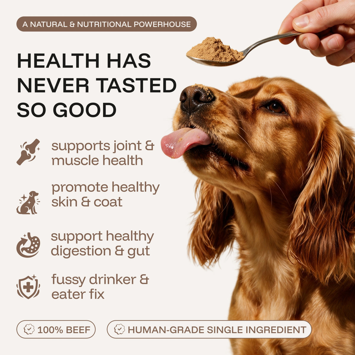 Beef Bone Broth: Savoury Food Topper