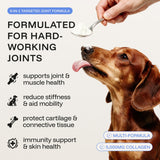 Mobility & Joints: 6-in-1 Advanced Joint Support