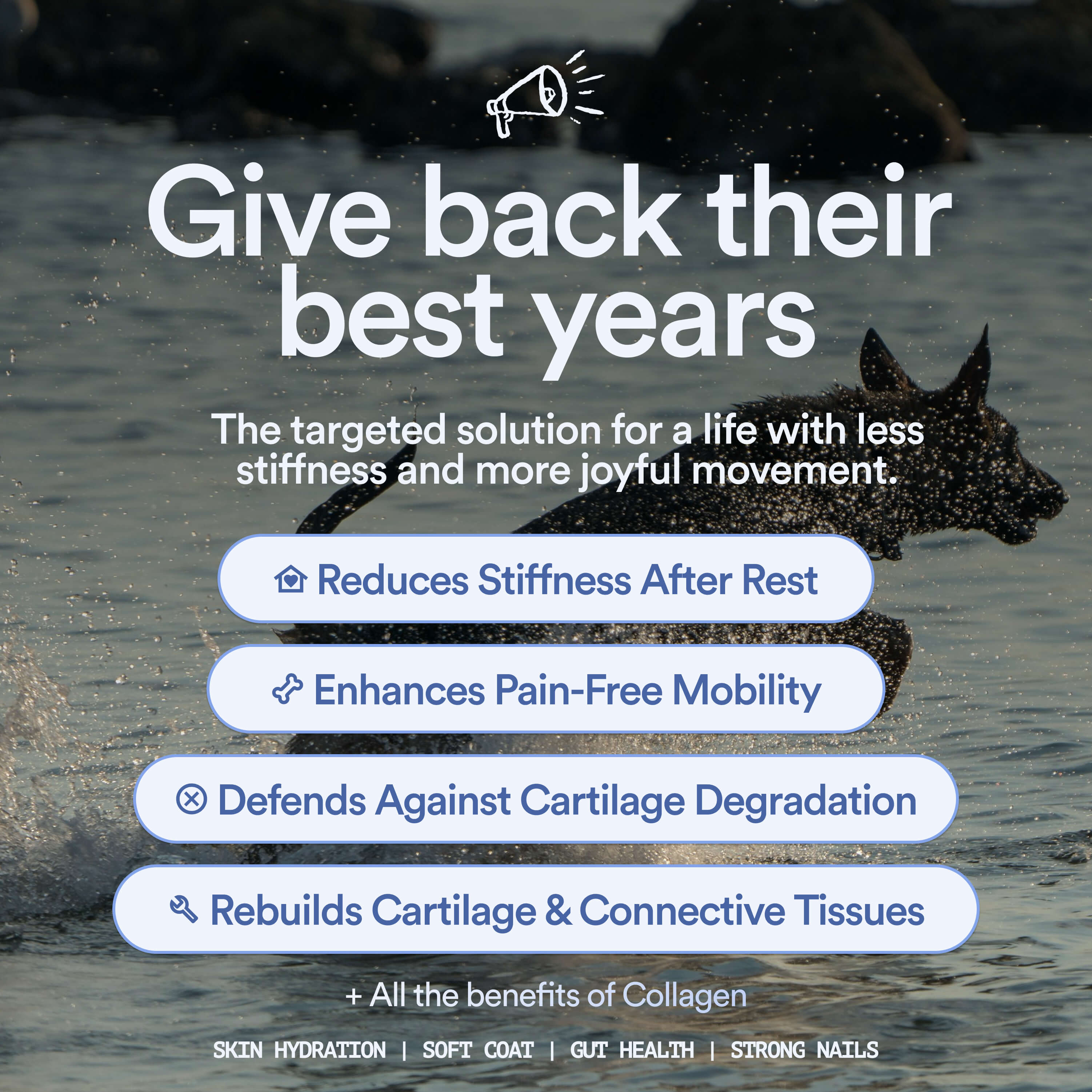 Mobility & Joints: 6-in-1 Advanced Joint Support