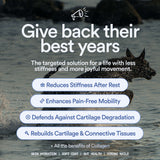 Mobility & Joints: 6-in-1 Advanced Joint Support