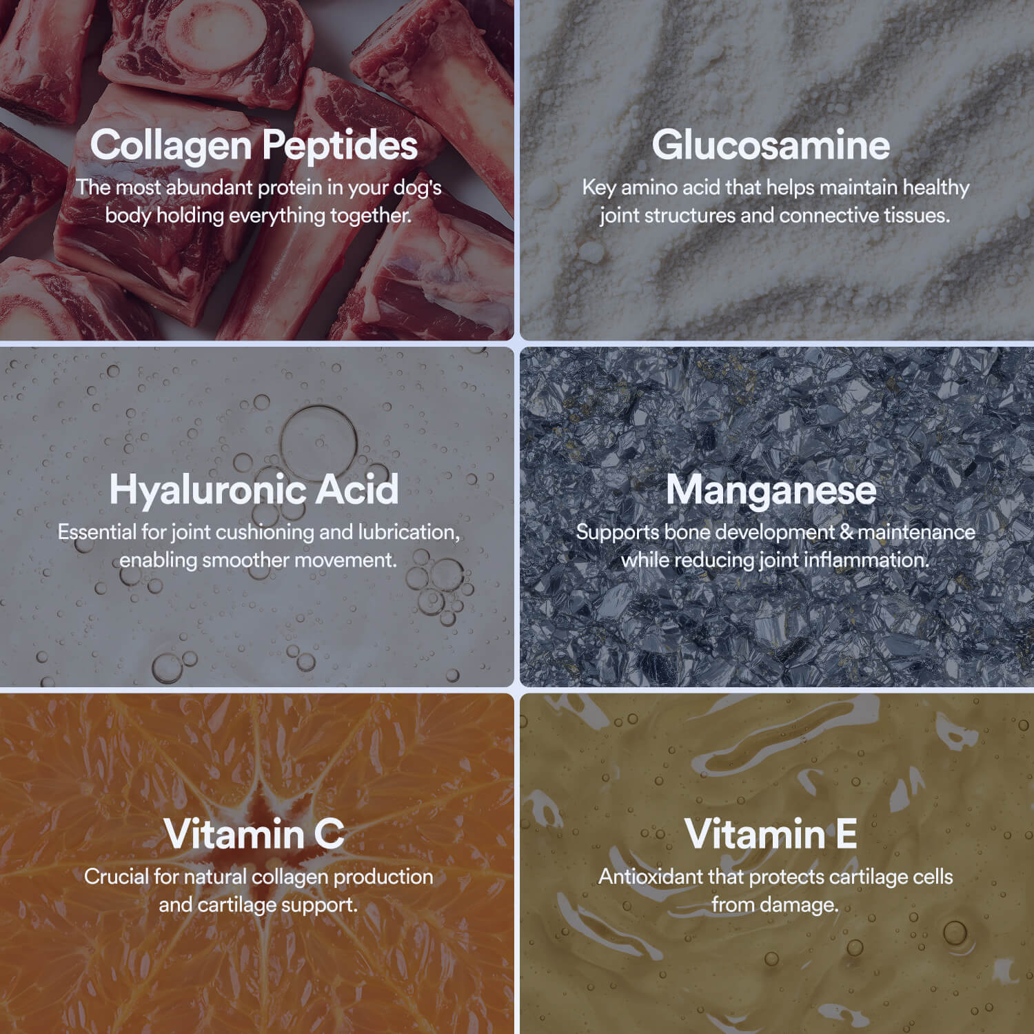 Mobility & Joints: 6-in-1 Advanced Joint Support