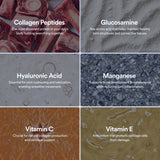 Mobility & Joints: 6-in-1 Advanced Joint Support