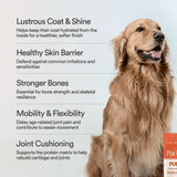 Pure Collagen: 100% Collagen Peptides