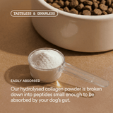 Hydrolysed collagen powder in a scoop with a bowl of dog food on a brown background. Pat's Pet Kitchen Collagen for dogs
