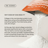 Pure Collagen: 100% Collagen Peptides