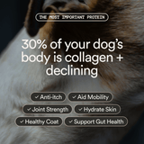 Pure Collagen: 100% Collagen Peptides