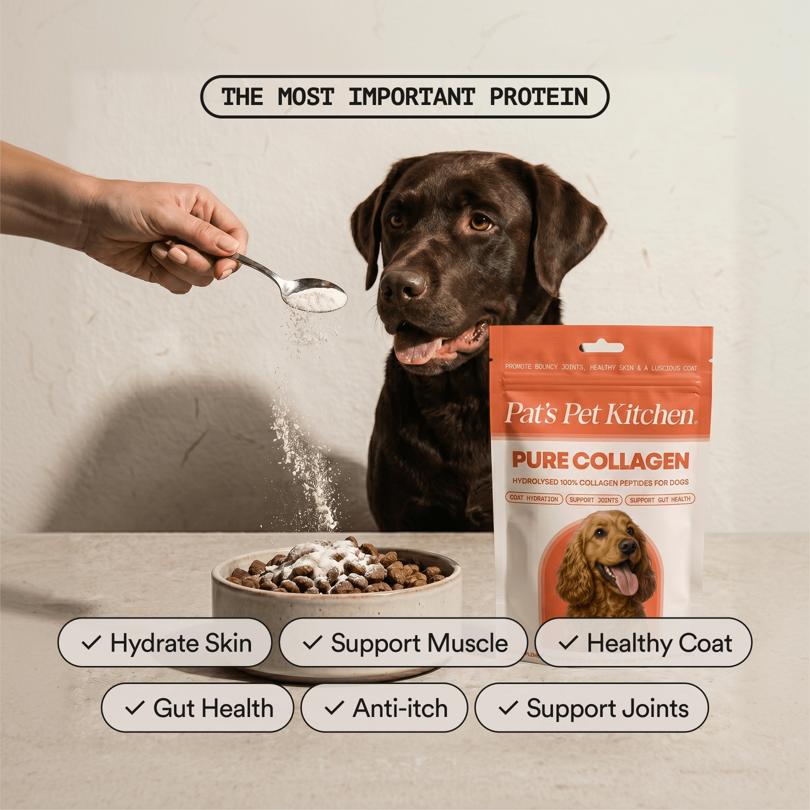 Pure Collagen: 100% Collagen Peptides
